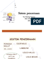 Sistem Pencernaan