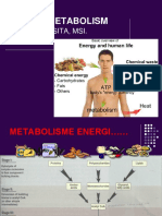 Metabolisme Energi Maret 2013