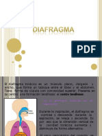 Diafragma