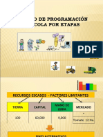 Programacion Agricola Por Etapas (Ejemplo)