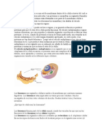 Informacion para Exposicion Ciencias Basicas