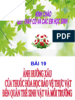 bài 19 ảnh hưởng thuốc hh