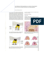 Desarrollo cara, paladar y lengua Principios Histología Embriología Bucal