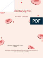 Asesoria Hematopoyetico