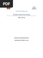 Seismic Processing Report..