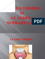 Glanda Tiroida.
