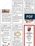 Carbohidratos Proteinas Aminoacidos Vitaminas