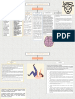 Mapa Conceptual Patologia