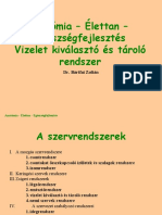 Anatómia - Élettan - Egészségfejlesztés Vizelet Kiválasztó És Tároló Rendszer