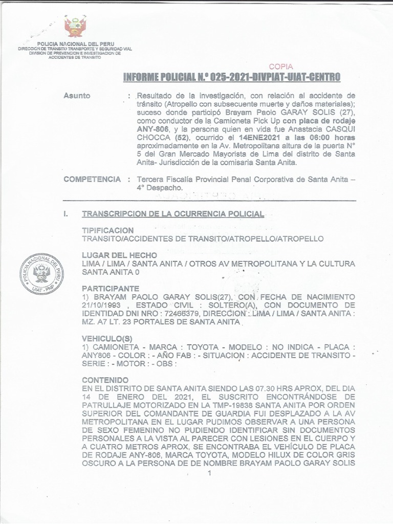 Informe pnp pdf