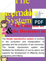 Female Reproductive System-1