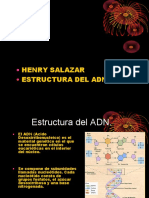 Estructura Del Adn