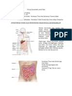 KELOMPOK 1 - P.3.73.24.1.22.101 - AFRIDA NF - S Penc Intestinum Dan S Kemih Ureter Dan Uretra