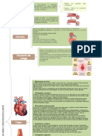 Organizador Grafico Problemas Cardiovasculares