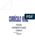 Ingeniero Civil Rodin Mas