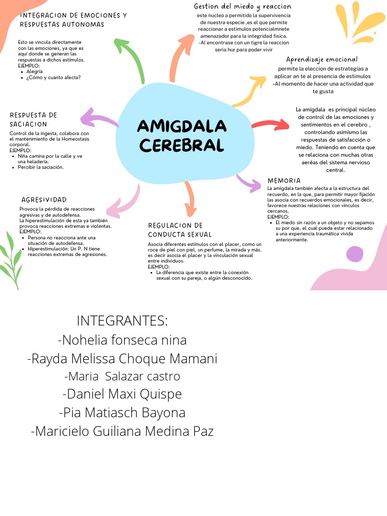 La función de la amígdala cerebral en la regulación de las emociones y ...