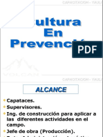 Cultura en Prevencion