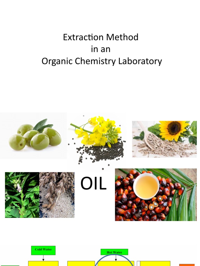 Steam Distillation Lab Instruction PDF