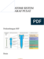 Anatomi Sistem Saraf Pusat