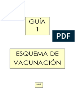 GUIA ESQUEMAS DE VACUNACIÓN Bien