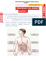 Organos Principales Del Aparato Digestivo