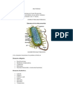 BACTERIAS