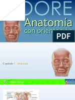 Capítulo_5-Abdomen