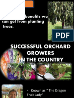 Successful Orchard Grower