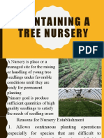 Maintaining A Nursery