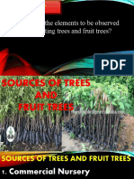Sources of Trees and Fruit Trees