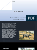 5B Yoc Vaelenzuela - Era Del Paleoceno