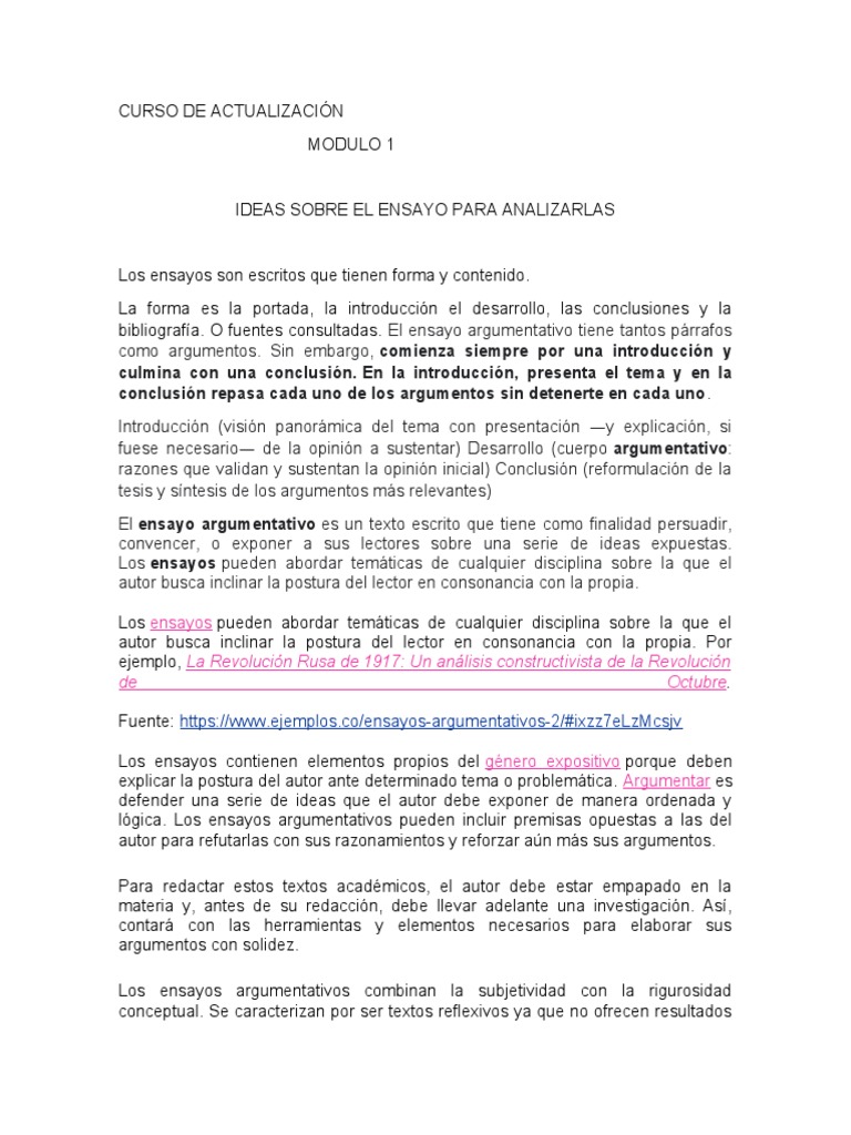 Ensayo Argumentativo | PDF | Ensayos | Internet