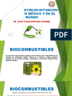 Situación Actual de Los Biocombustibles