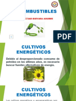 Cultivos Energéticos Biocombustibles Julio Guevara Ago Dic 2021