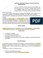 QuÃ© Son Los Principios Generales Del Proceso (Autoguardado)