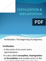 Fertilization: The Beginning of Pregnancy