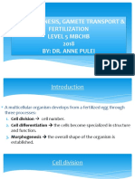 Gametogenesis, Gamete Transport & Fertilization