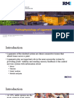 Pathophysiology of Ligament Injuries-1