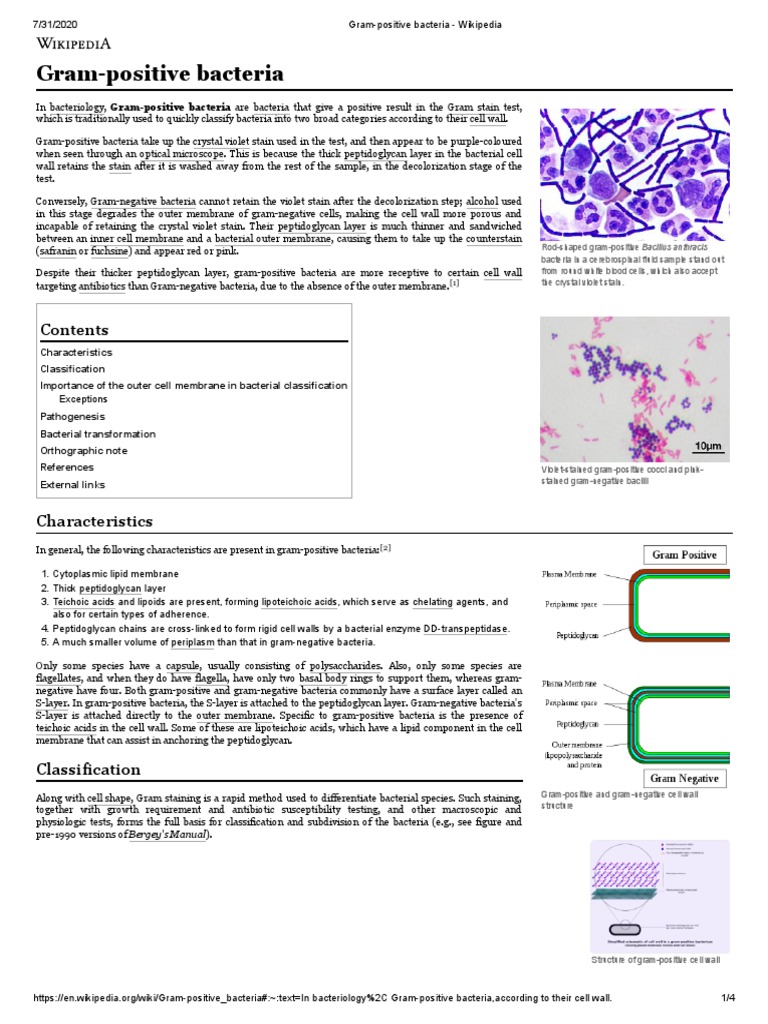 Methicillin-resistant Staphylococcus aureus - Wikipedia