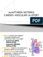 Adaptarea cardio-vasculara in  efort