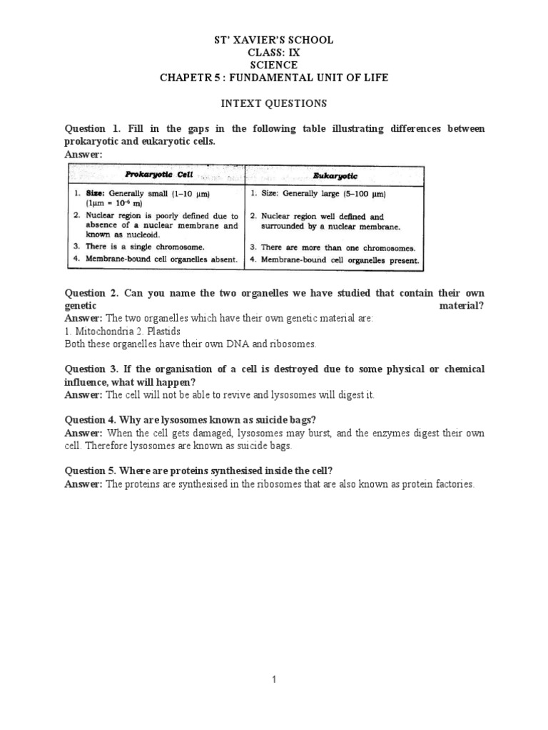IX Biology Chapter 5 Solutions | PDF | Cell (Biology) | Endoplasmic ...
