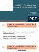 Semana 1. Practica Fundamentos básicos de la neuropsicología