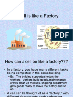 A Cell Is Like A Factory