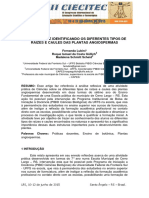 Conhecendo E Identificando Os Diferentes Tipos de Raízes E Caules Das Plantas Angiospermas