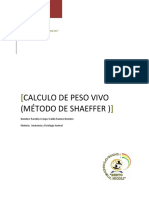 Informe SHAEFFER