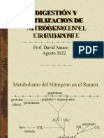 Clase 6. DIGESTIÓN Y UTILIZACION DEL NITRÓGENO EN EL RUMIANTE