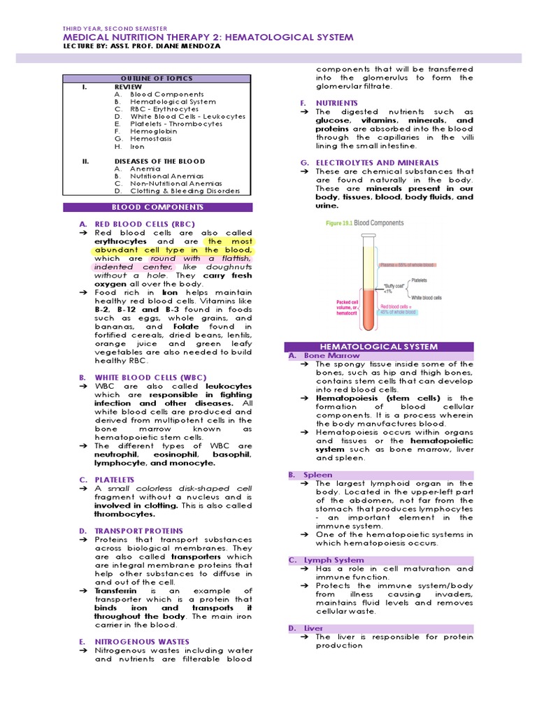 MNT Hematological System Reviewer | PDF | Anemia | White Blood Cell
