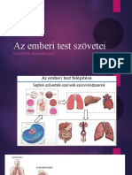 Az Emberi Test Szövetei