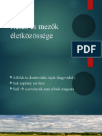 B Rétek És Mezők Életközössége