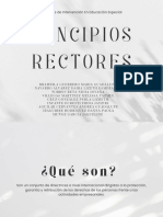 Principiosrectores